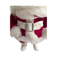 Load image into Gallery viewer, Harold Gale Santa Doll
