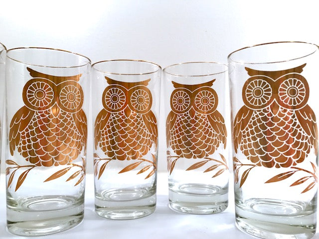Mid-Century Retro Gold Owl Highball Glasses (Set of 6)