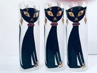 Load image into Gallery viewer, Maida Amour Hipster Siamese Cat Tall Collins Glasses (Set of 6)
