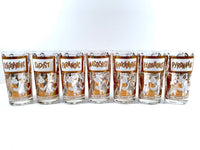 Load image into Gallery viewer, Georges Briard Signed Mid-Century Your Pickled Personality Highball Glasses (Set of 7)
