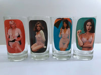 Load image into Gallery viewer, Spencer&#39;s Striptease Female Glasses (Set of 4)
