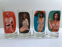 Load image into Gallery viewer, Spencer&#39;s Striptease Female Glasses (Set of 4)
